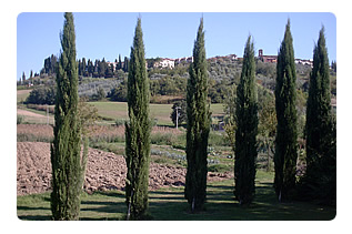 Agriturismo Firenze