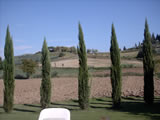 Agriturismo Romantico Toscana