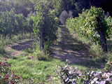 Agriturismo Romantico Toscana