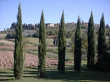 Agriturismo Romantico Toscana