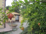 Agriturismo Romantico Toscana